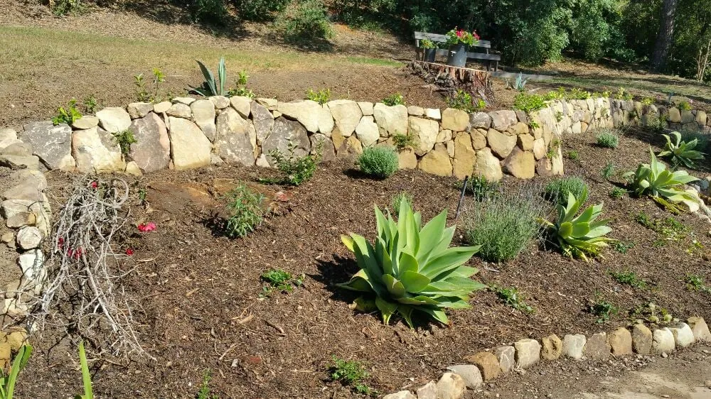 Professional landscape design near you in Santa Barbara, CA by Casa Landscape Maintenance