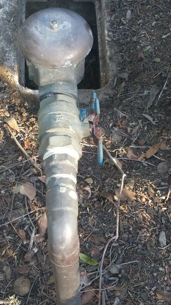 Trusted residential landscaping in Santa Barbara, CA by Casa Landscape Maintenance