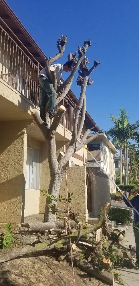 Expert landscape installation experts serving Santa Barbara, CA - Casa Landscape Maintenance