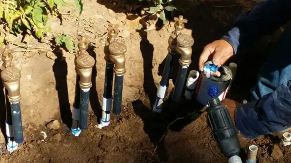 Casa Landscape Maintenance Logo