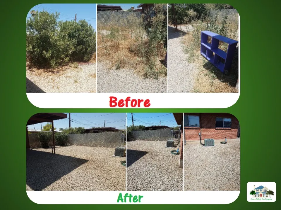Professional garden landscaping in Tucson, AZ by Casa Modelo Landscaping