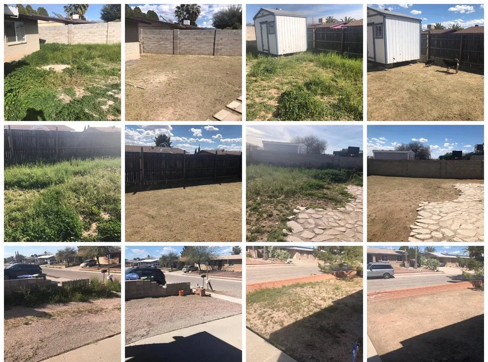 Local landscape installation in Tucson, AZ by Casa Modelo Landscaping