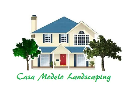 Professional lawn mowing service in Tucson, AZ by Casa Modelo Landscaping
