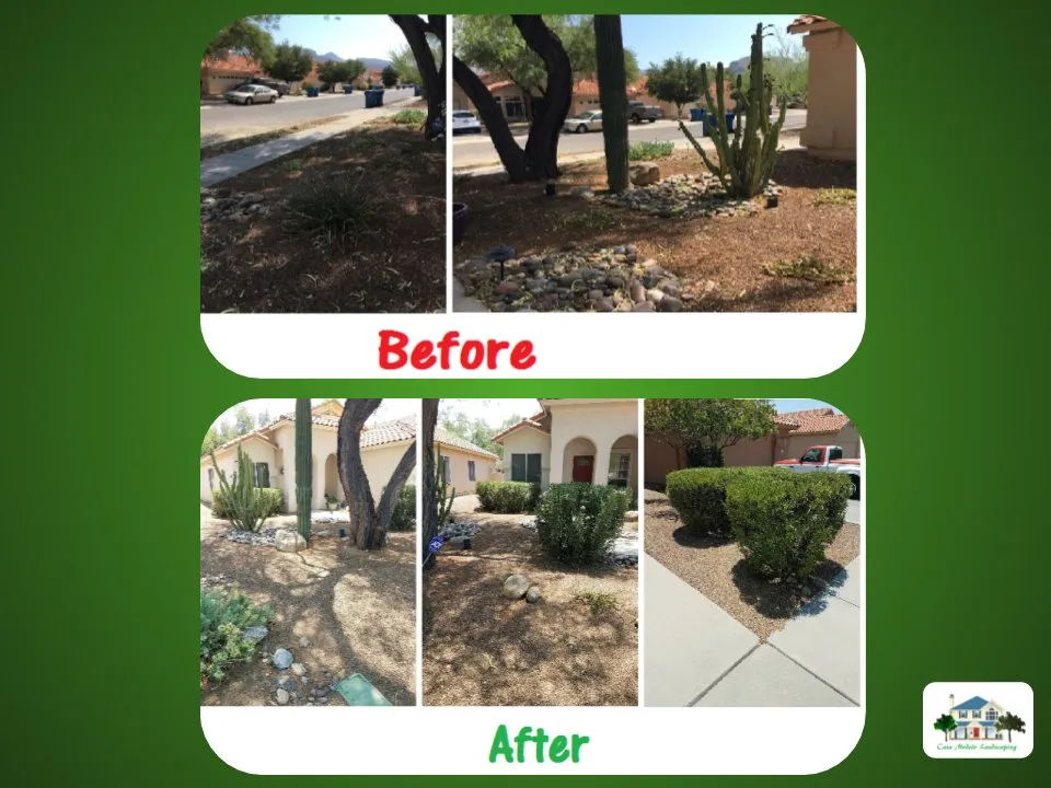 Professional landscaping services experts serving Tucson, AZ - Casa Modelo Landscaping