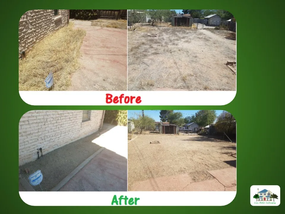 Local garden landscaping for year-round maintenance across Tucson, AZ - Casa Modelo Landscaping