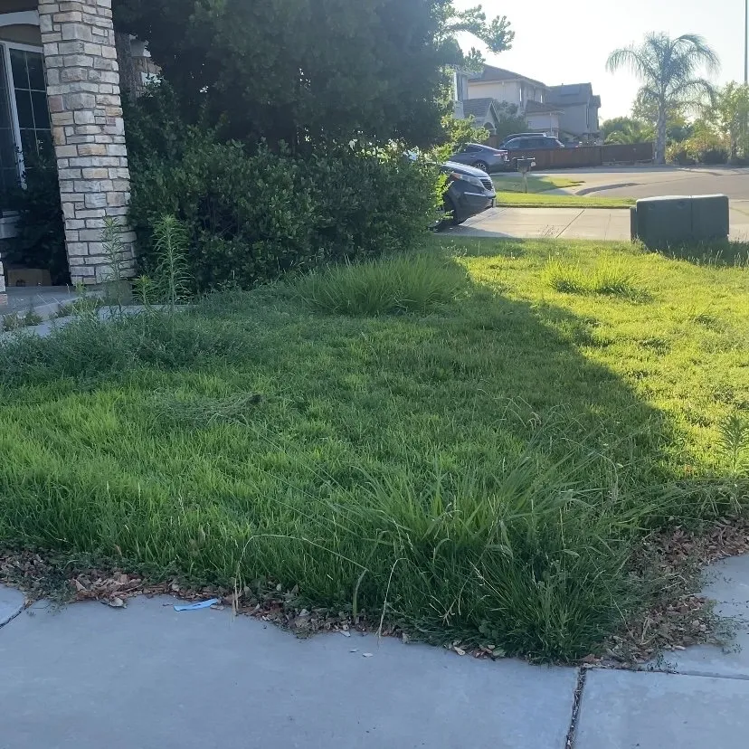 Custom lawn mowing service with custom design across Antioch, CA - Casa Nueva Landscapes
