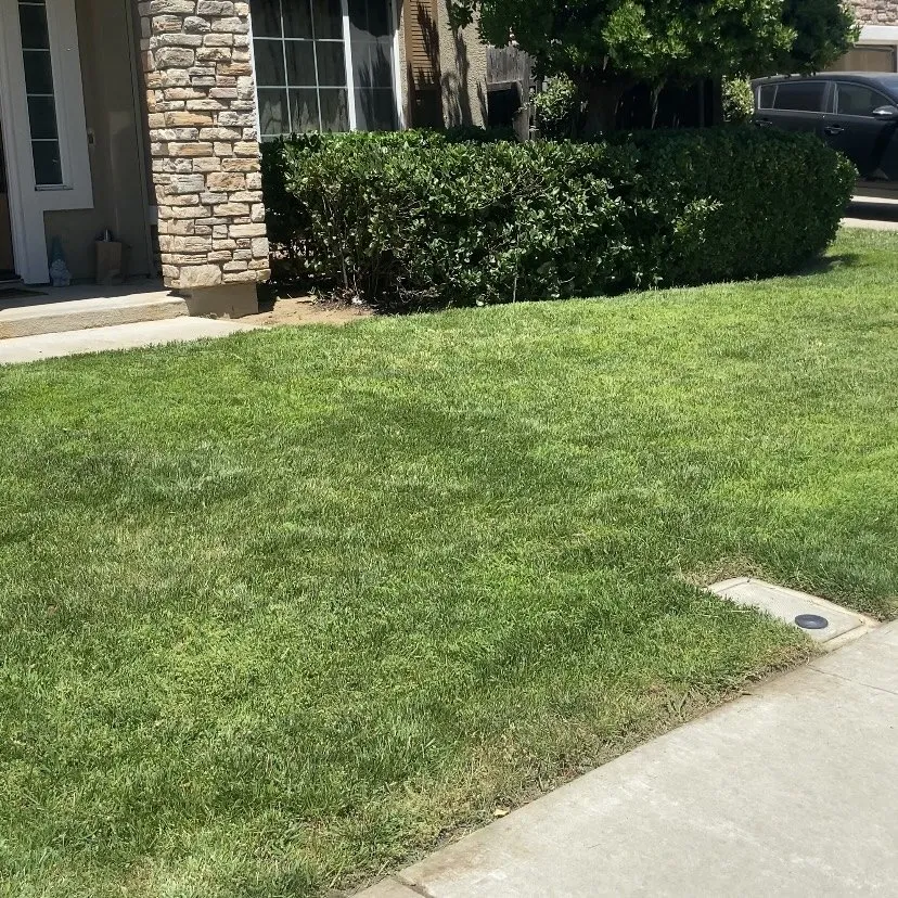 Professional lawn care service in Antioch, CA - Casa Nueva Landscapes