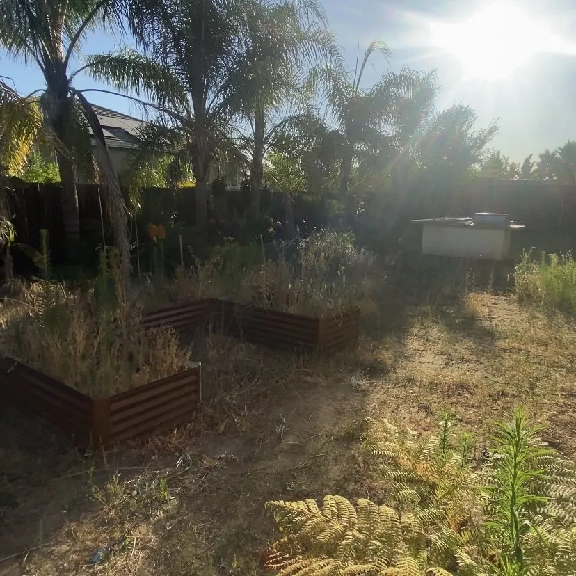 Reliable landscape installation in Antioch, CA by Casa Nueva Landscapes