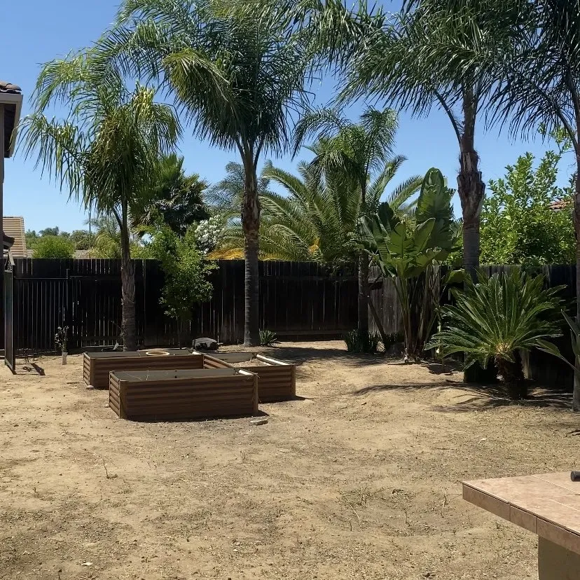Expert yard maintenance with custom design across Antioch, CA - Casa Nueva Landscapes