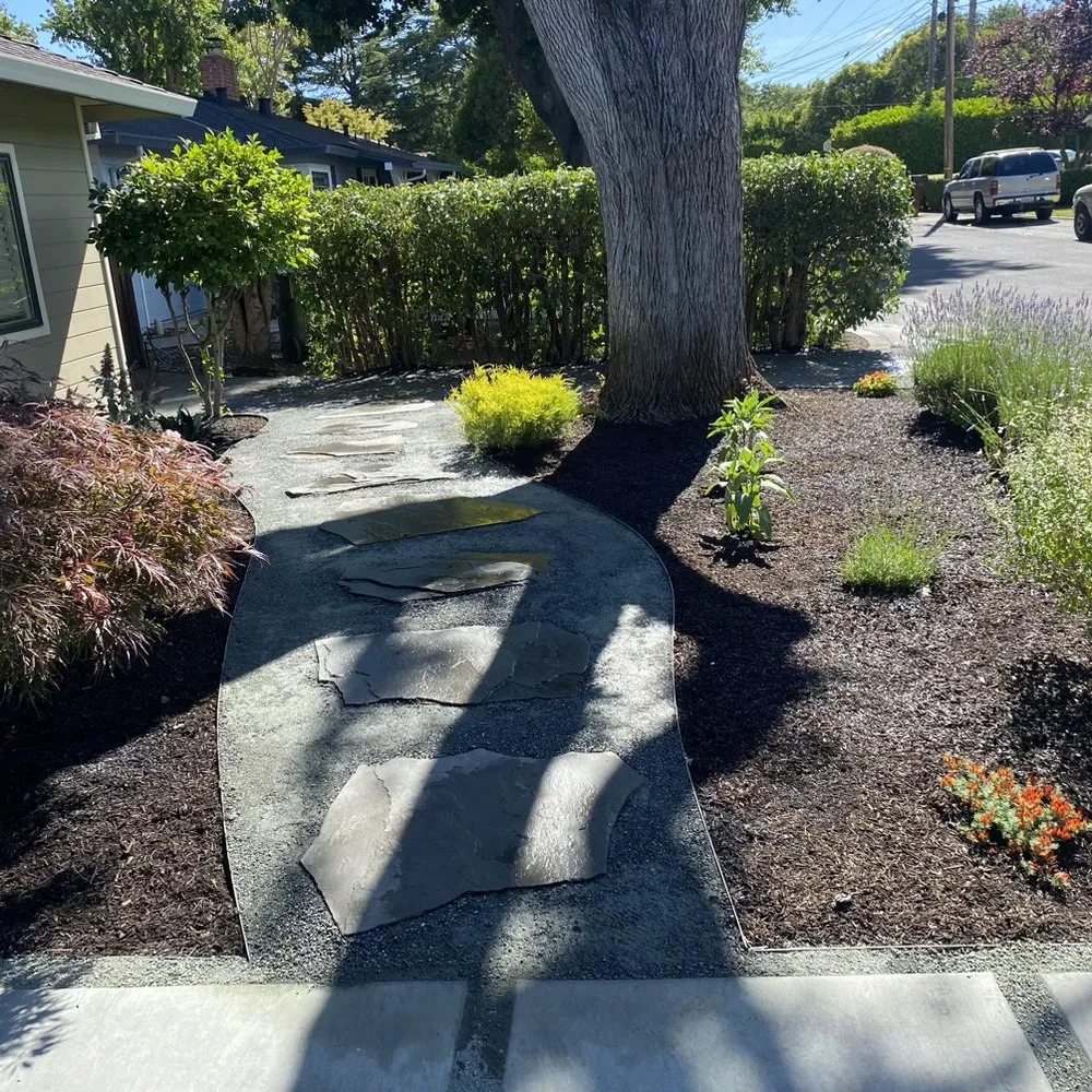 Custom lawn mowing service in Antioch, CA - Casa Nueva Landscapes
