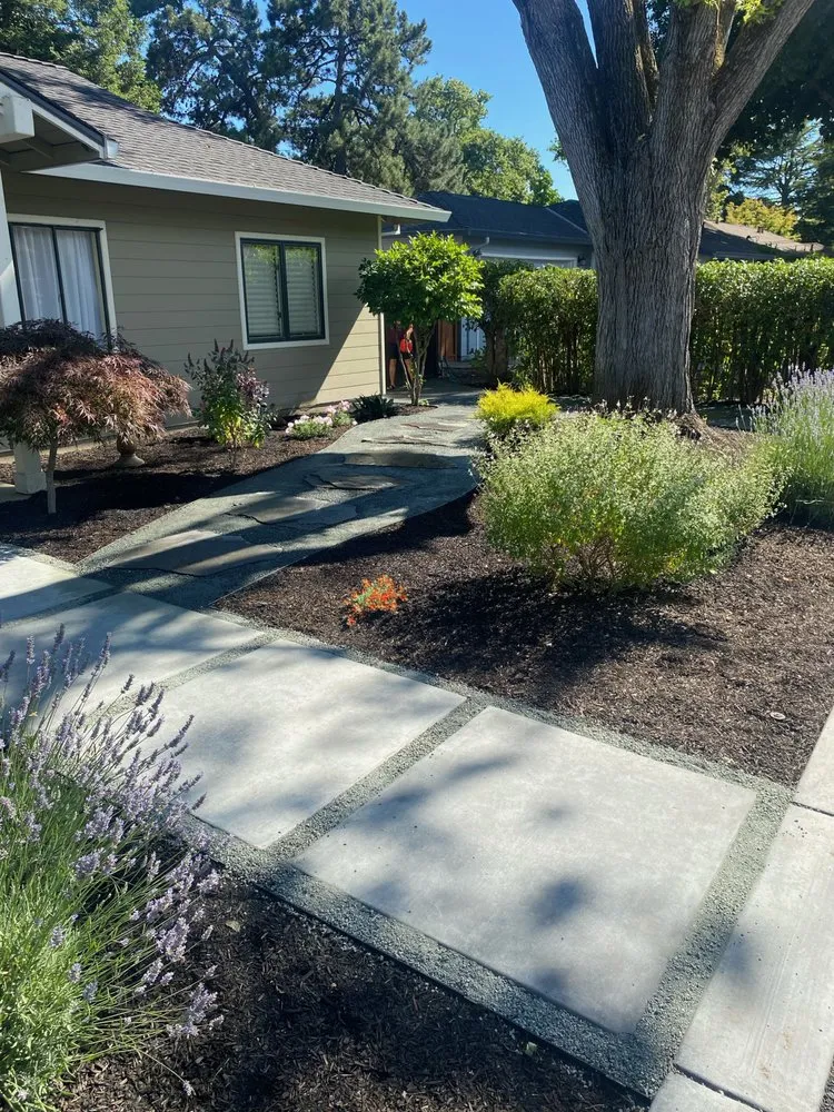Trusted landscaping services for outdoor upgrades across Antioch, CA - Casa Nueva Landscapes