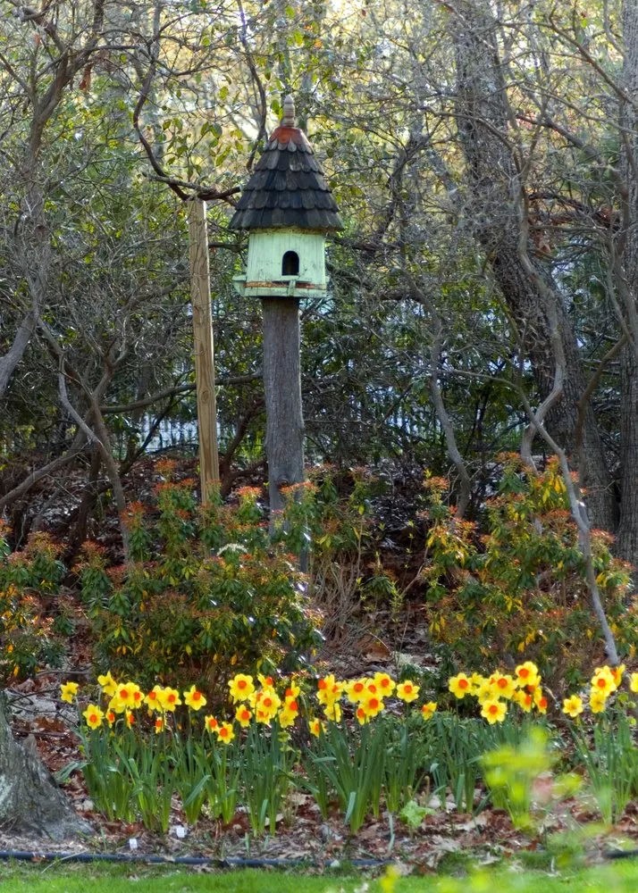 Professional residential landscaping experts serving Dallas, TX - Casa Outdoor Design