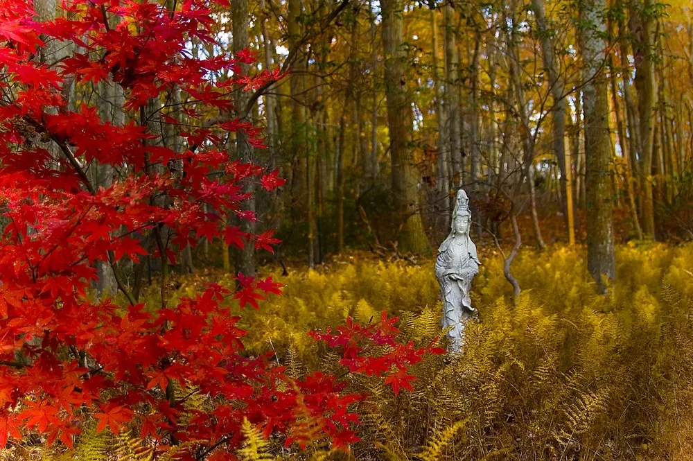 Local landscape installation with custom design in Dallas, TX by Casa Outdoor Design