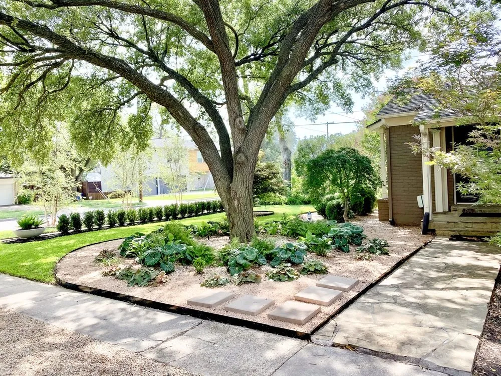 Expert outdoor landscaping in Dallas, TX - Casa Outdoor Design