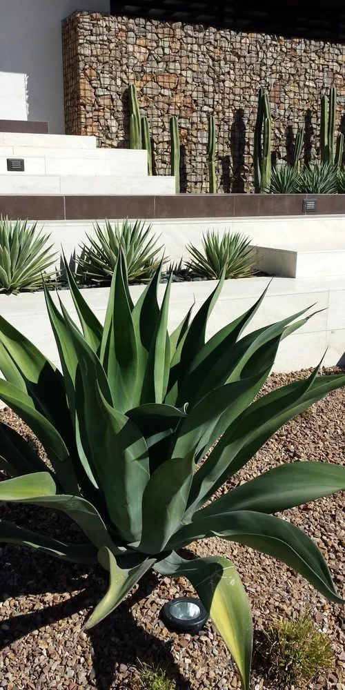 Reliable landscape design in Las Vegas, NV - Casa Verde Landscape