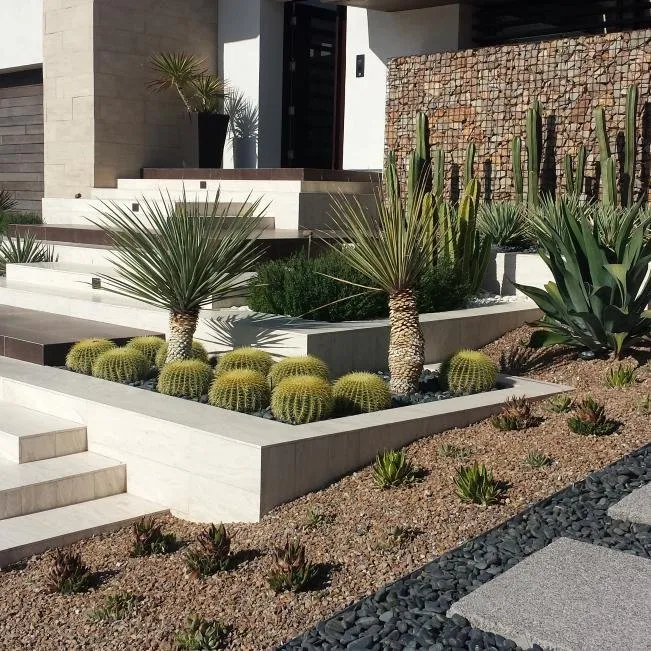 Trusted garden landscaping for residential properties in Las Vegas, NV by Casa Verde Landscape