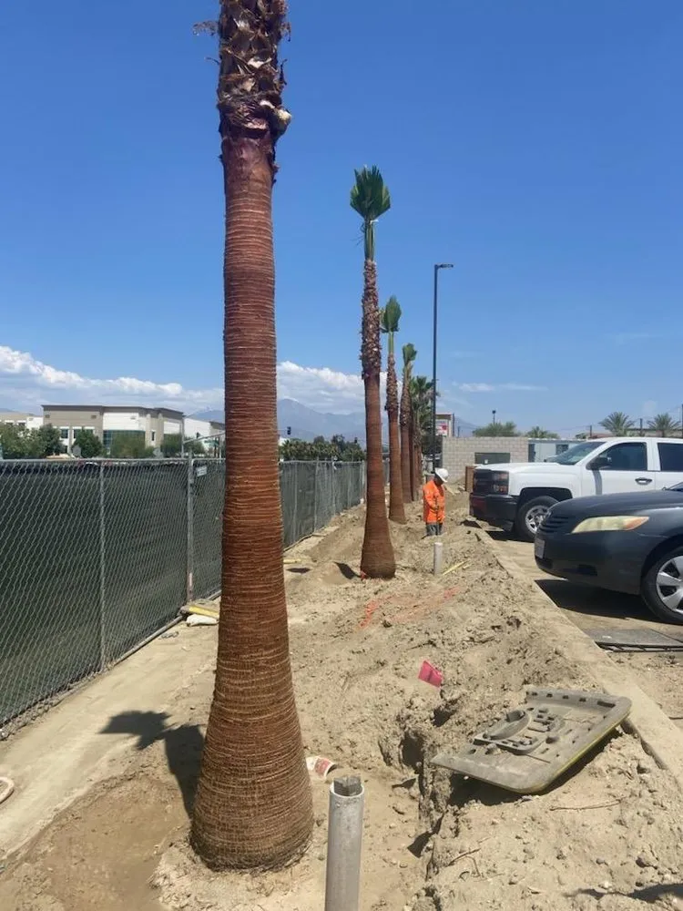 Professional lawn mowing service experts serving Pomona, CA - Casa Verde Landscape