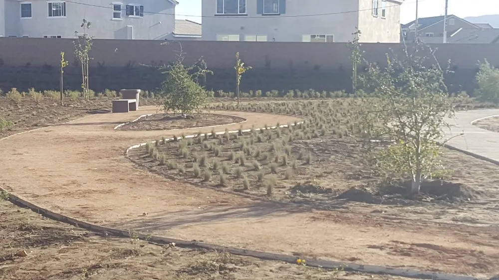 Professional landscape installation for homes across Pomona, CA - Casa Verde Landscape