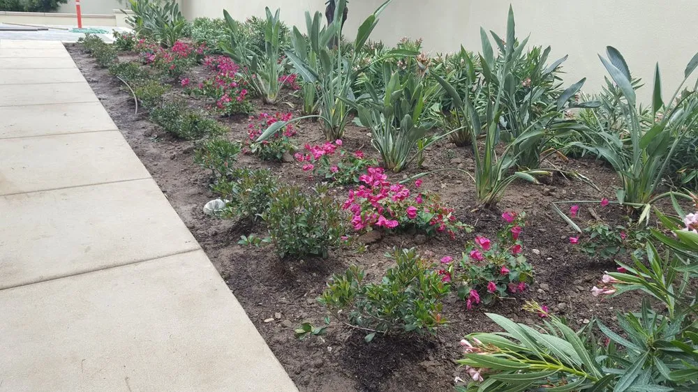 Local garden landscaping for outdoor upgrades in Pomona, CA by Casa Verde Landscape