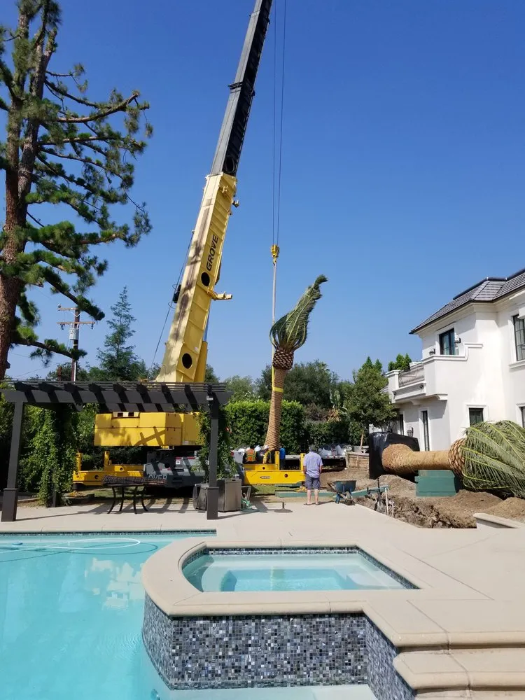 Professional landscape installation for year-round maintenance across Pomona, CA - Casa Verde Landscape