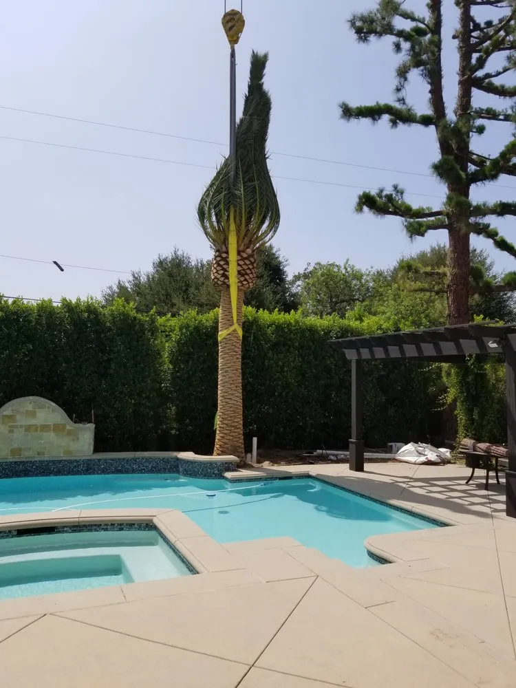 Expert outdoor landscaping in Pomona, CA by Casa Verde Landscape