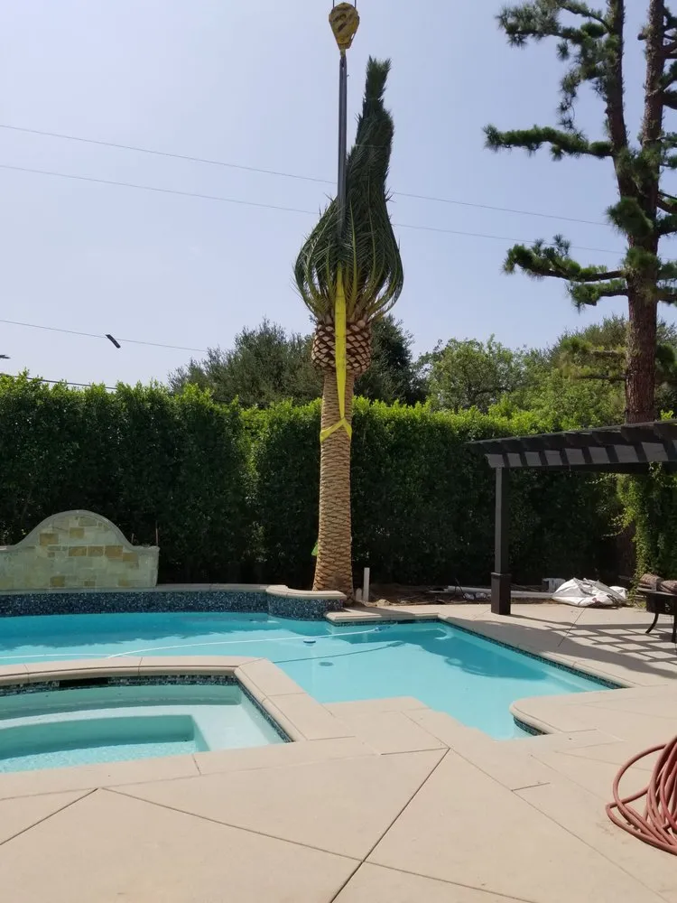 Affordable landscape design near you in Pomona, CA by Casa Verde Landscape