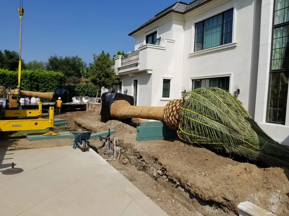 Top-rated outdoor landscaping in Pomona, CA by Casa Verde Landscape