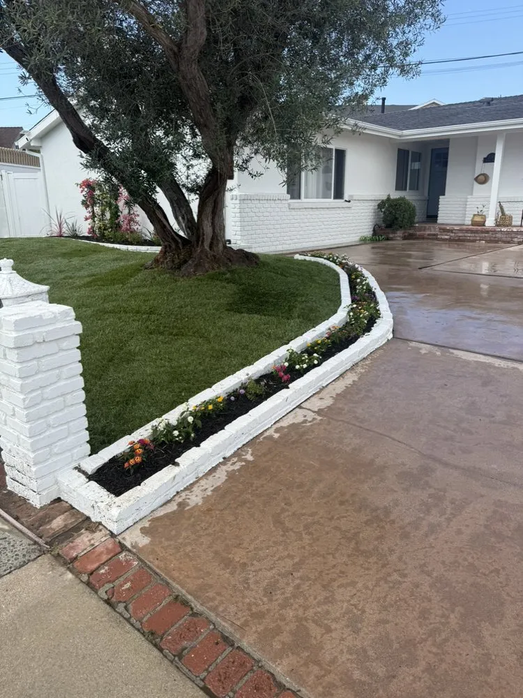 Reliable landscape design in Torrance, CA - Casa Verde Landscaping & Garden Service