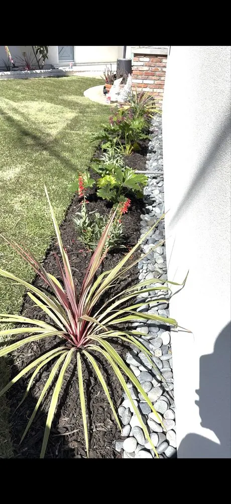 Affordable yard cleanup service for year-round maintenance in Torrance, CA by Casa Verde Landscaping & Garden Service