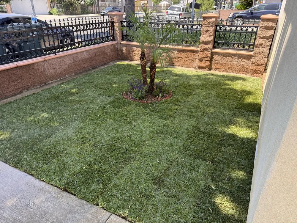 Trusted garden landscaping in Torrance, CA by Casa Verde Landscaping & Garden Service