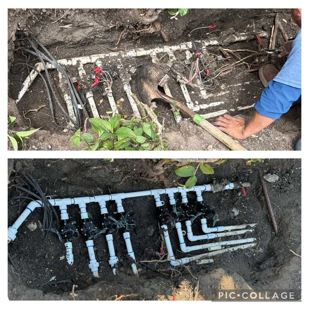 Professional outdoor landscaping experts serving Torrance, CA - Casa Verde Landscaping & Garden Service