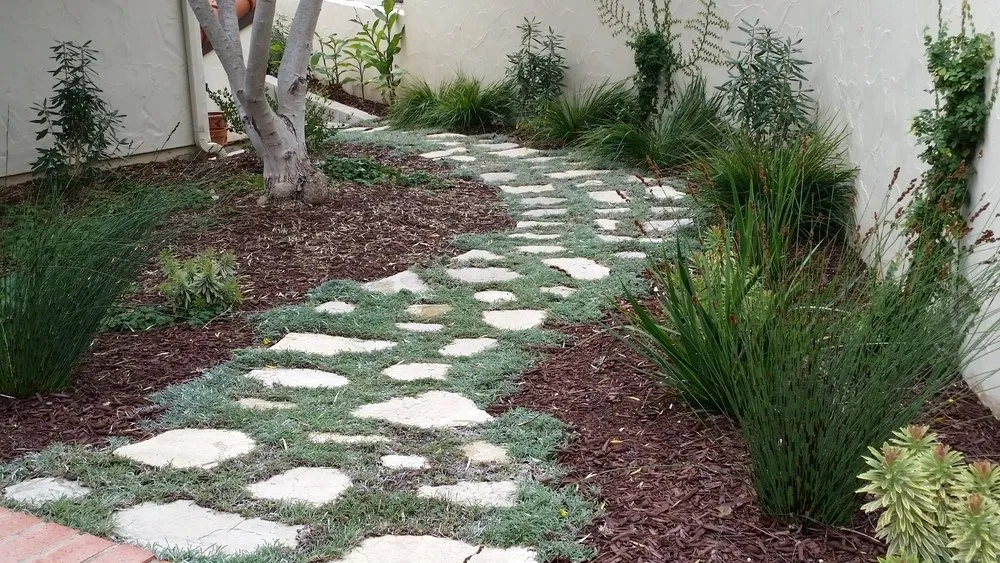 Affordable landscape installation for outdoor upgrades in Torrance, CA by Casa Verde Landscaping & Garden Service