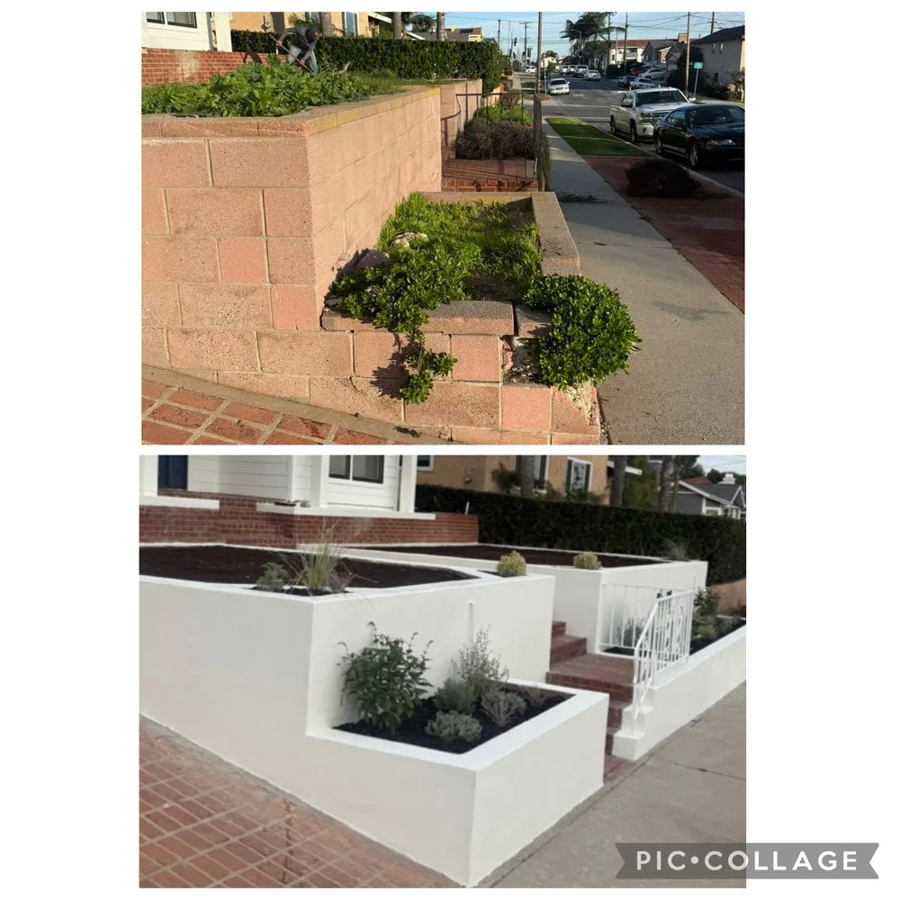 Expert yard maintenance for outdoor upgrades across Torrance, CA - Casa Verde Landscaping & Garden Service
