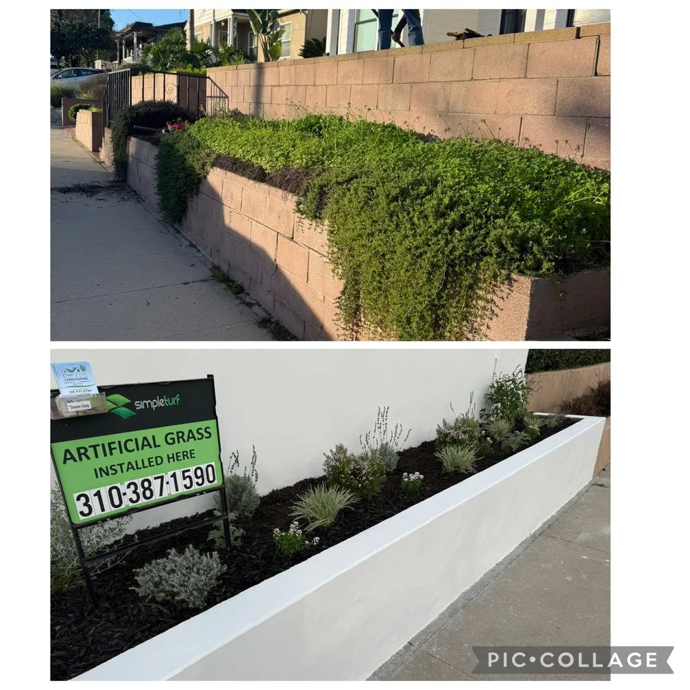 Affordable yard maintenance in Torrance, CA by Casa Verde Landscaping & Garden Service