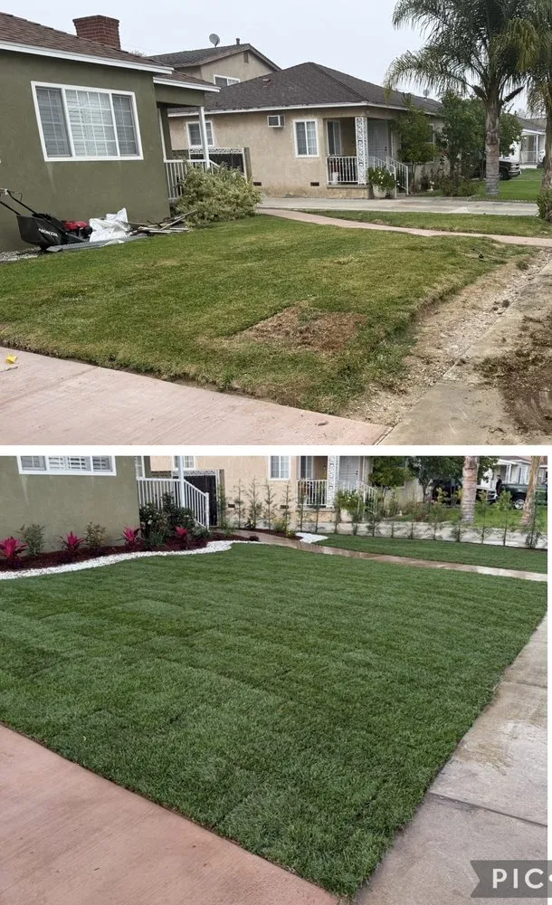 Affordable lawn care service for outdoor upgrades in Torrance, CA by Casa Verde Landscaping & Garden Service