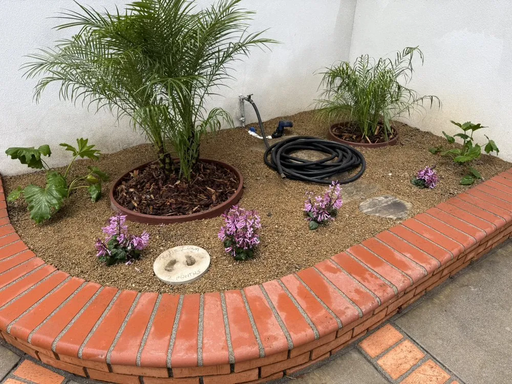Top-rated garden landscaping in Torrance, CA by Casa Verde Landscaping & Garden Service