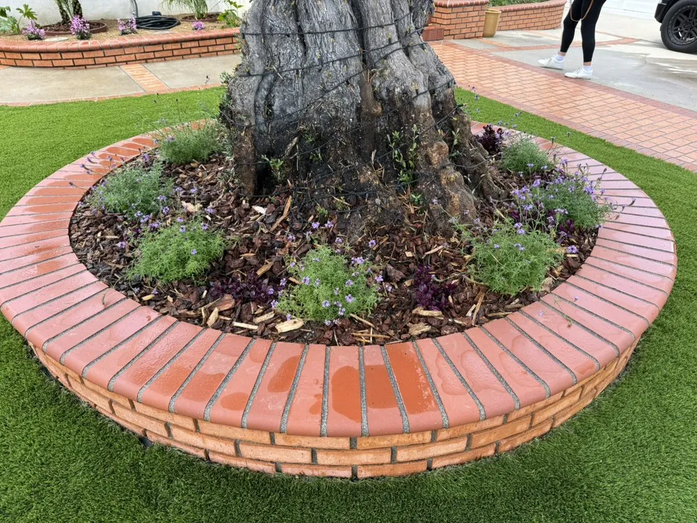 Custom yard cleanup service in Torrance, CA - Casa Verde Landscaping & Garden Service