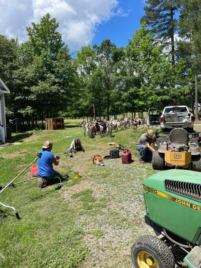 Professional yard cleanup service in Pittsboro, NC - Casa Verde