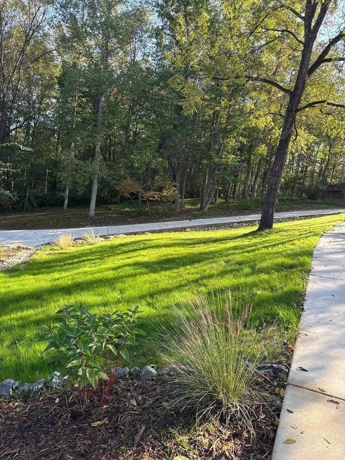 Reliable yard maintenance for outdoor upgrades across Pittsboro, NC - Casa Verde