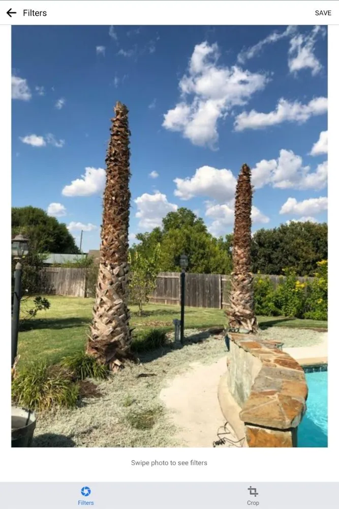 Professional garden landscaping for beautiful yards in Round Rock, TX by Casanova's Trees Service