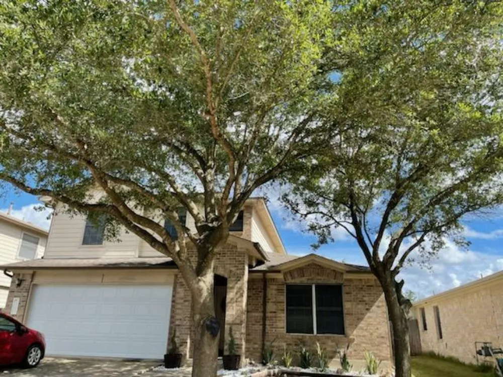 Reliable yard cleanup service for outdoor upgrades in Round Rock, TX by Casanova's Trees Service