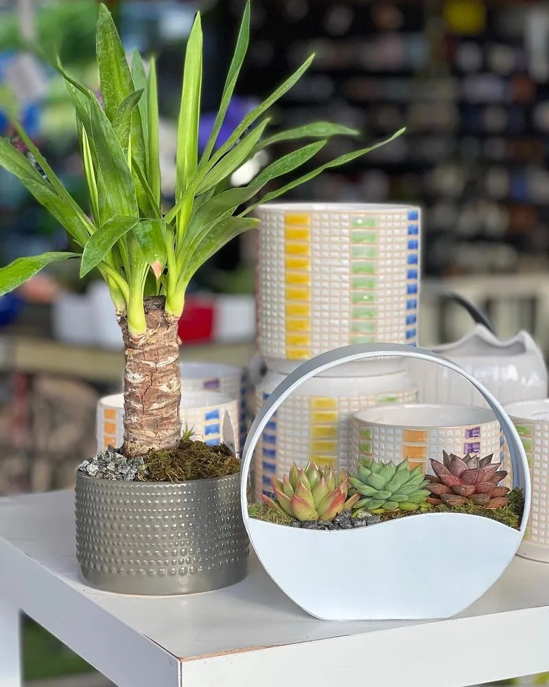 Top-rated garden landscaping in Miami, FL by Casaplanta Garden Center