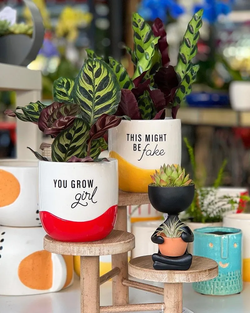 Affordable outdoor landscaping in Miami, FL by Casaplanta Garden Center