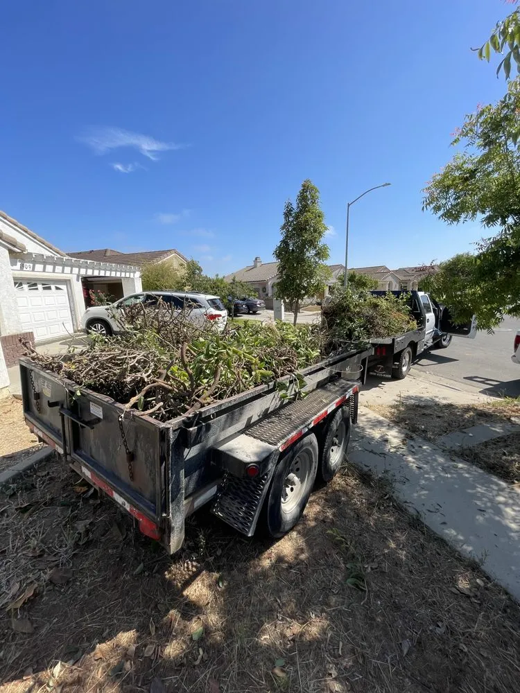 Trusted yard maintenance in Santa Maria, CA - Casarez and Sons Junk Removal