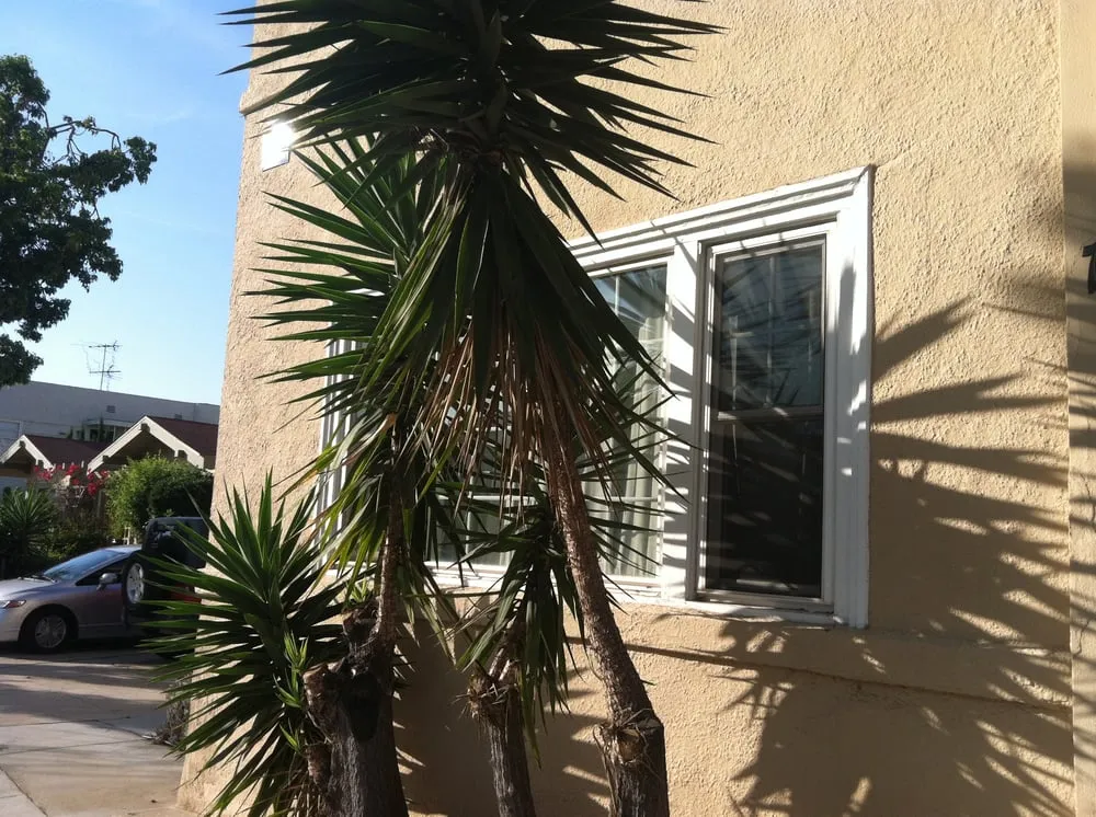 Professional landscaping services for homes in Anaheim, CA by Casas Landscape