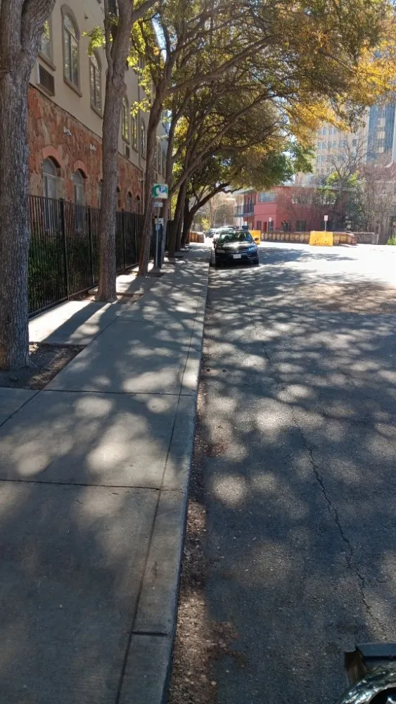 Local yard cleanup service experts serving San Antonio, TX - Casas Lawn Service