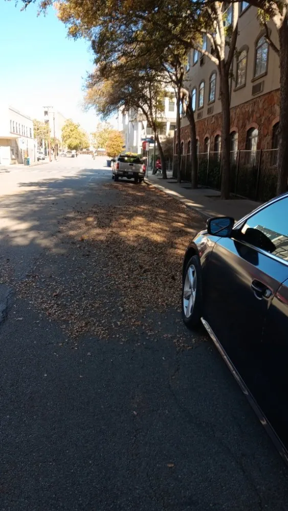 Affordable garden landscaping in San Antonio, TX - Casas Lawn Service