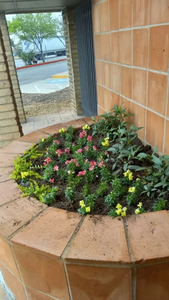 Reliable residential landscaping in San Antonio, TX - Casas Lawn Service