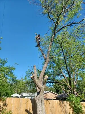 Casas Lawn Service Logo