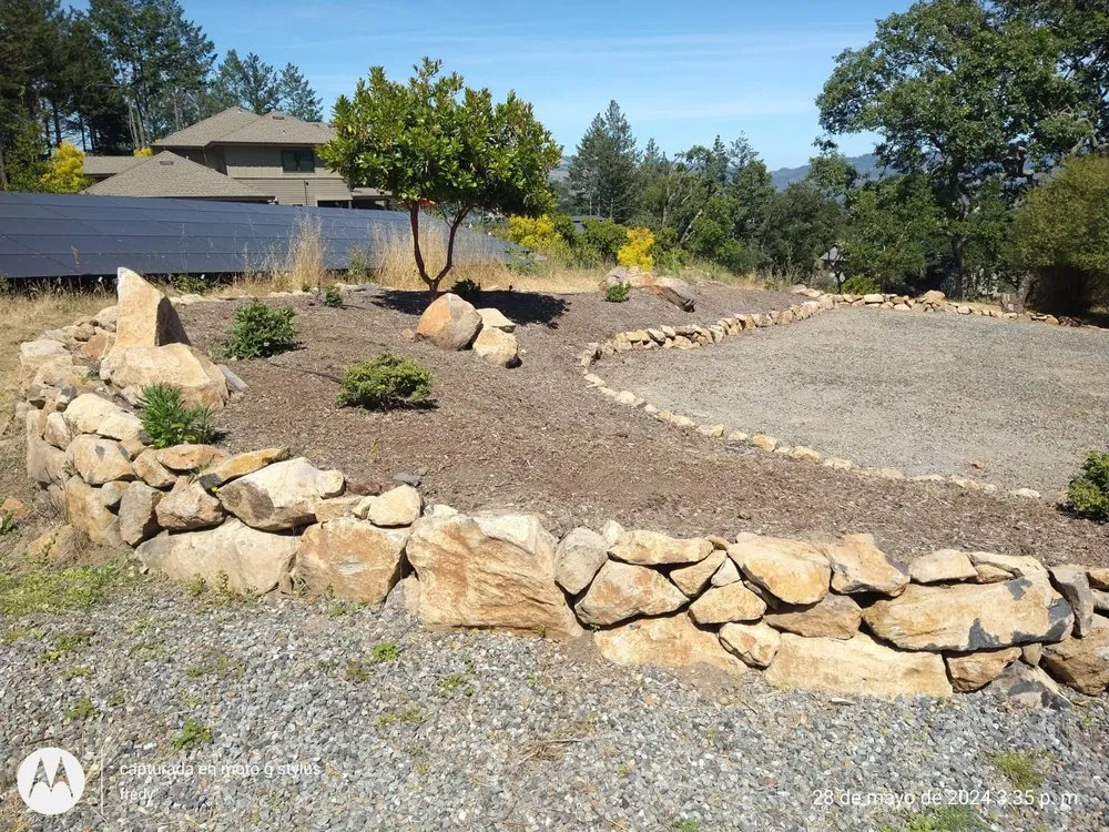 Top-rated yard cleanup service in Santa Rosa, CA - Cascada Landscape